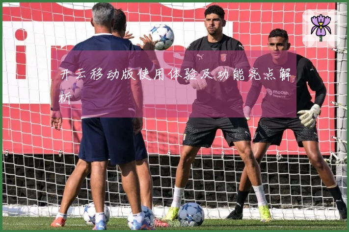开云移动版使用体验及功能亮点解析